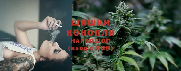 шишки Протвино