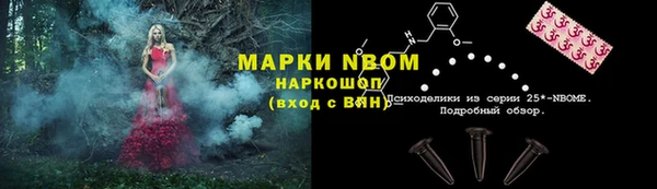 стаф Приозерск