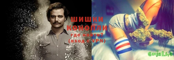 шишки Протвино